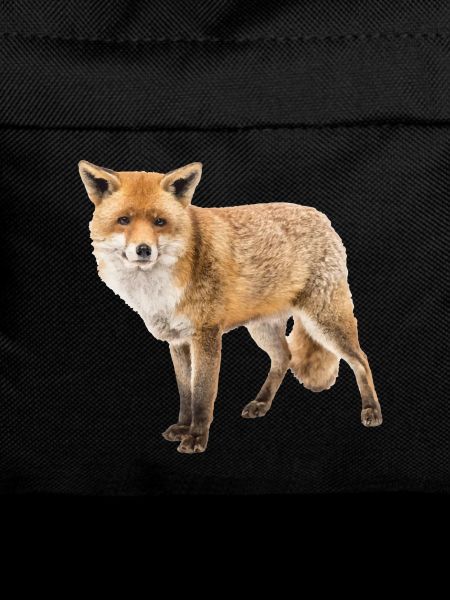 Fuchs