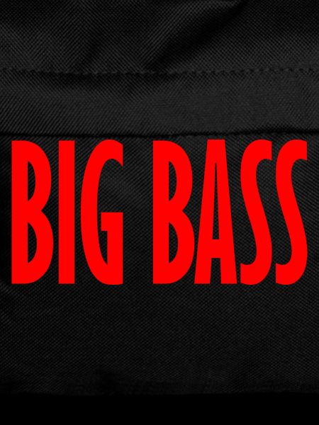 big bass line