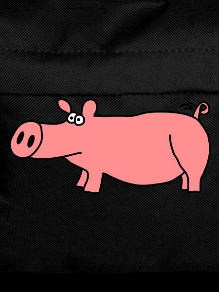 Pig