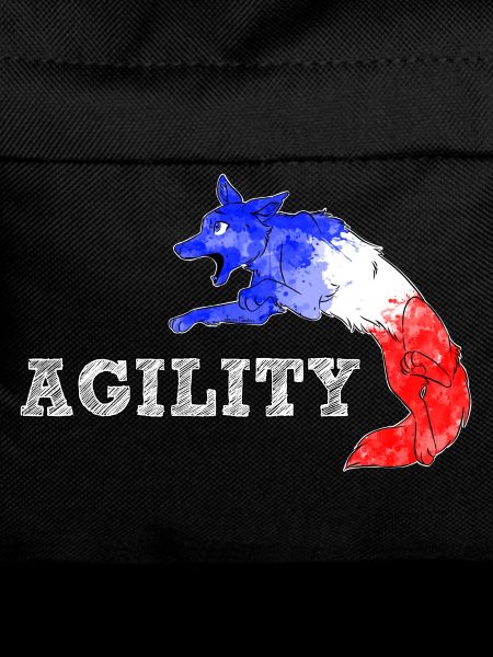 Agility Border France
