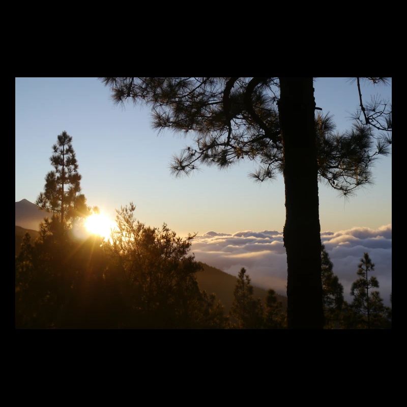 Teide, Tenerife