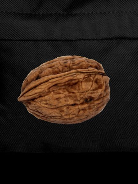 walnut