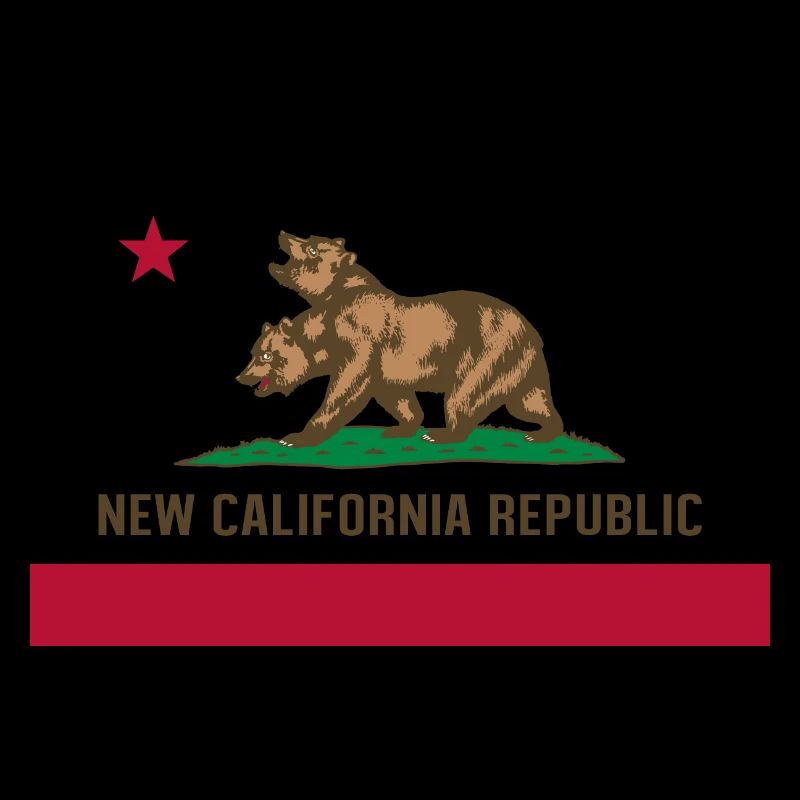 NCR FLAG