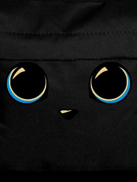 yeux chat