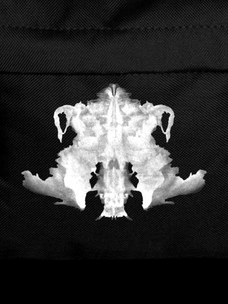 Rorschach Tafel 4/10 invertiert