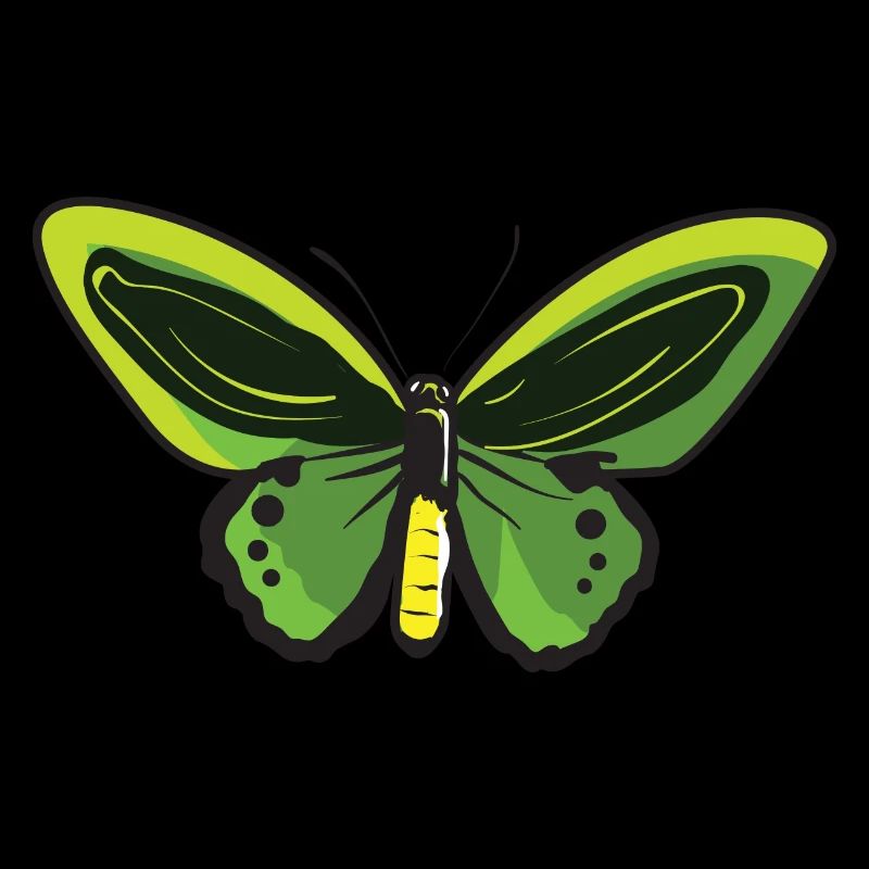 Papillon citron Papillon Papillon papillon