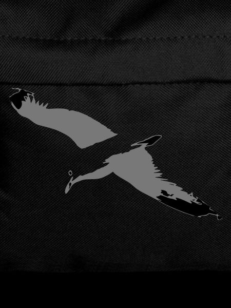 Seagull