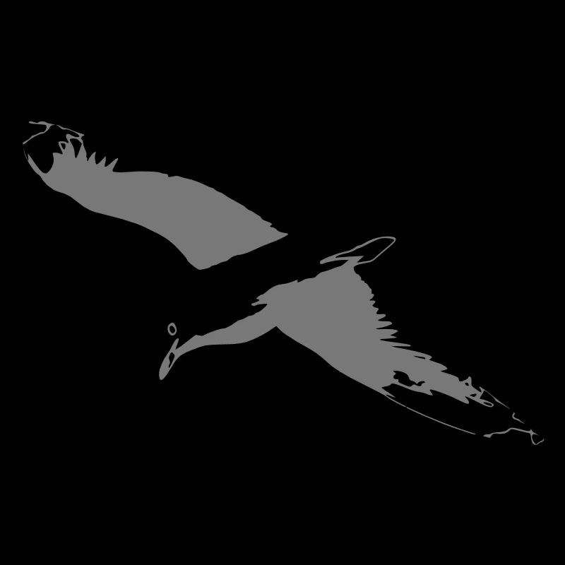 Seagull