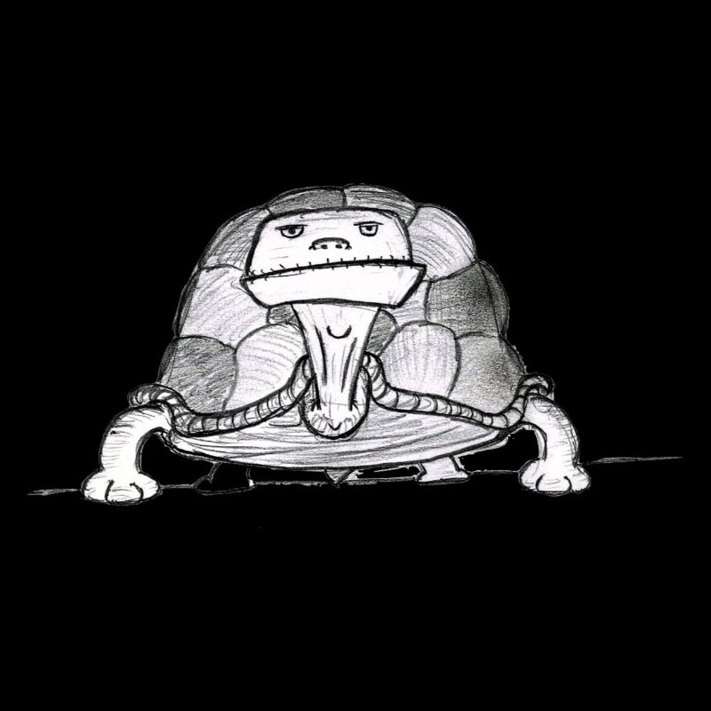 Turtle # North German art