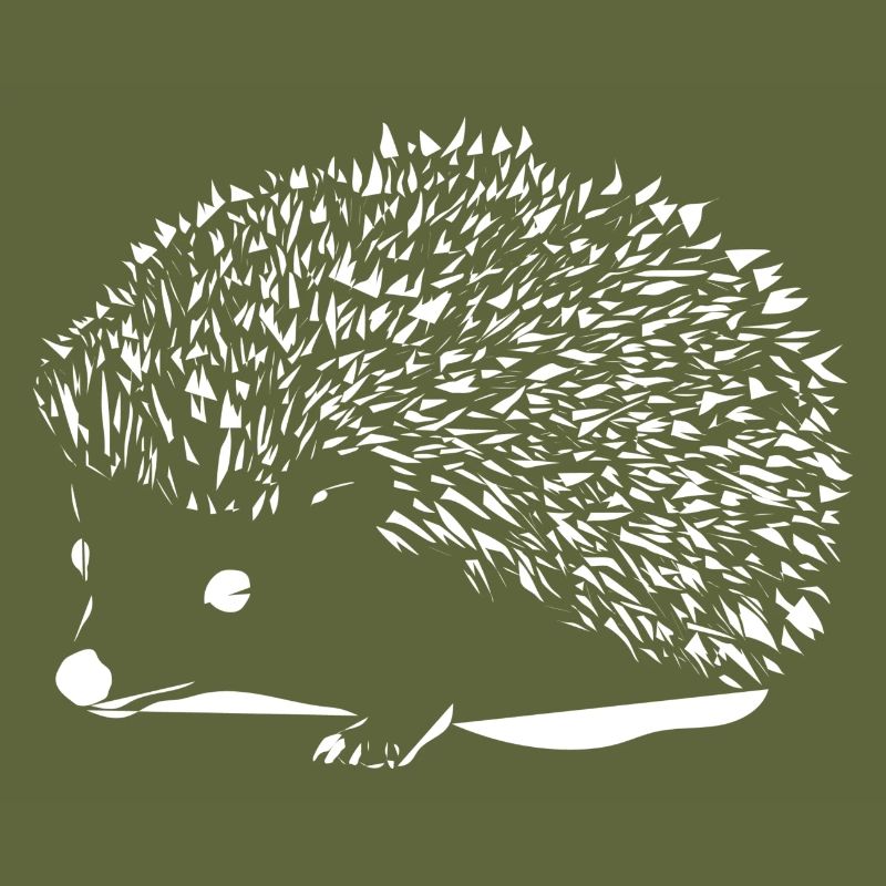 White hedgehog