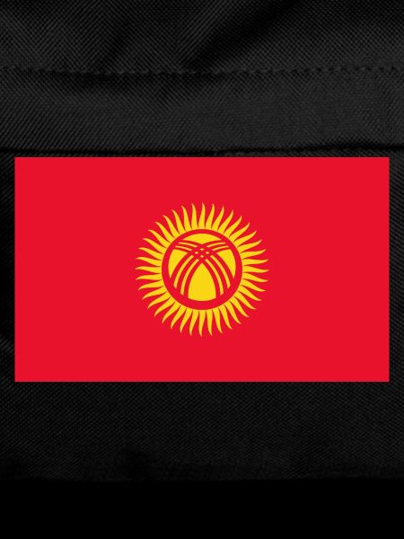Kyrgyzstan Flag