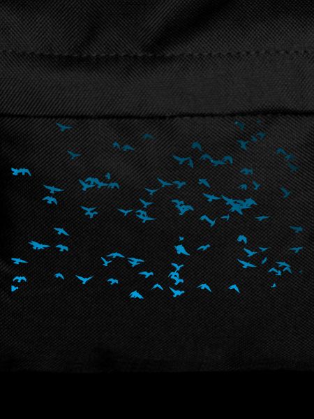 flock Of birds