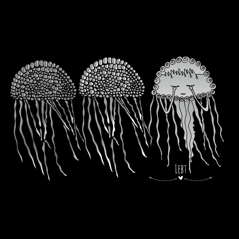 Méduse les règles transparentes de la mer