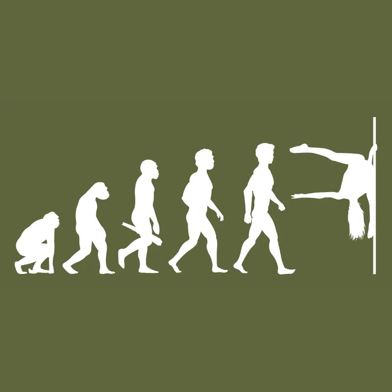 Evolution Poledance Pole Dancing Danse
