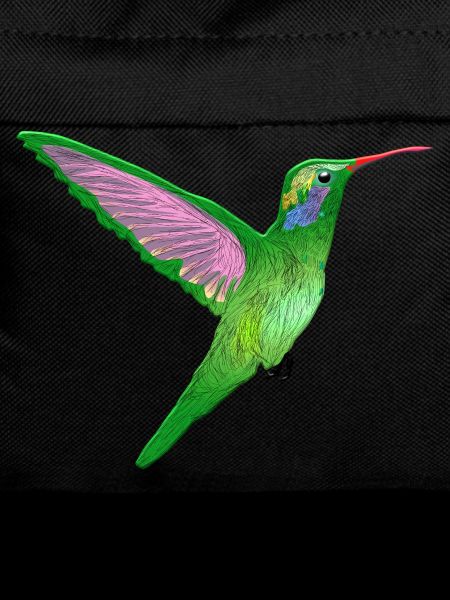 colibri