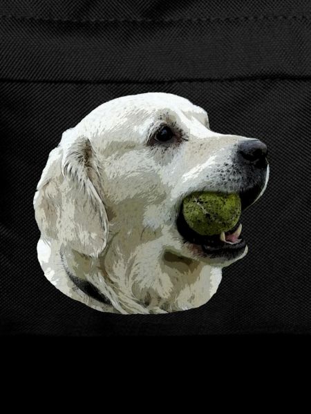Labrador with Ball
