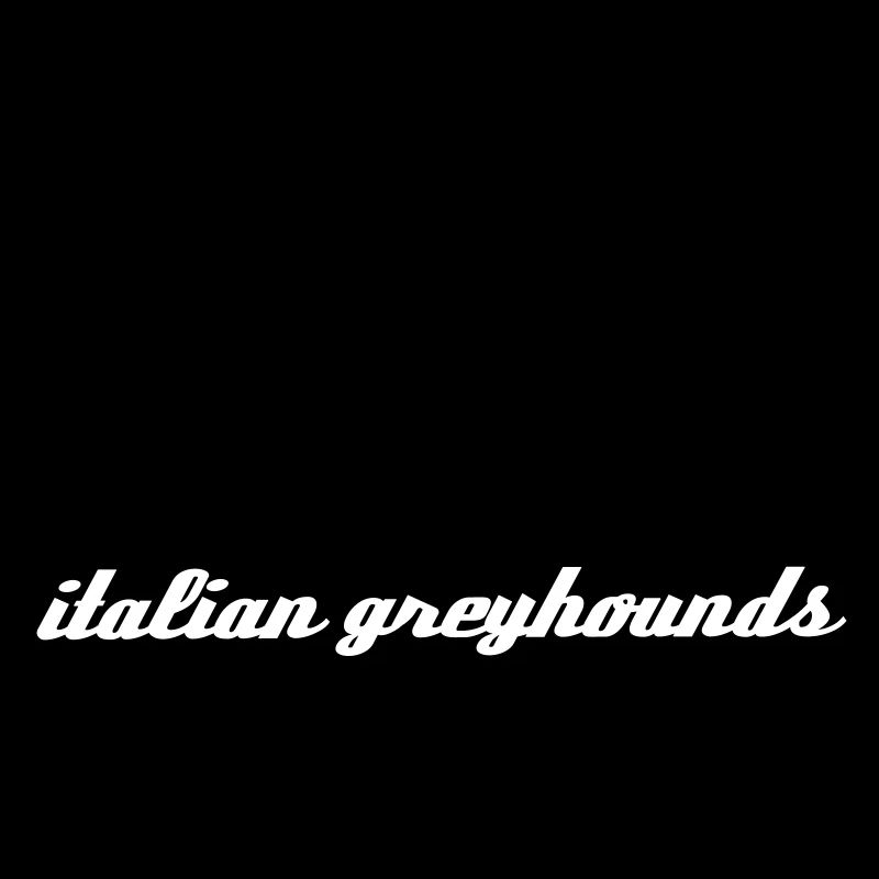Italienisches Windspiel