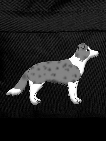 Border Collie blue merle