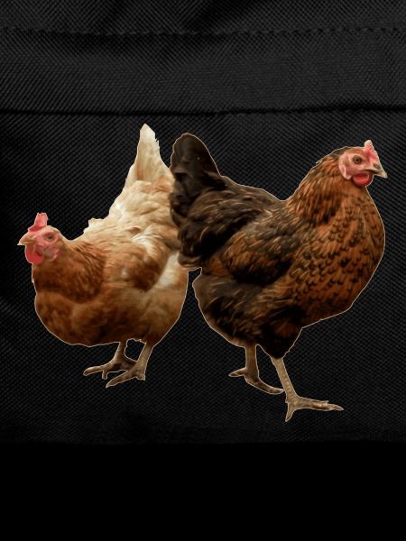 two happy chickens