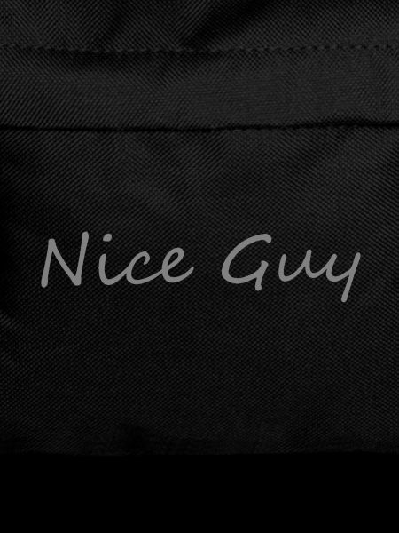 Nice Guy