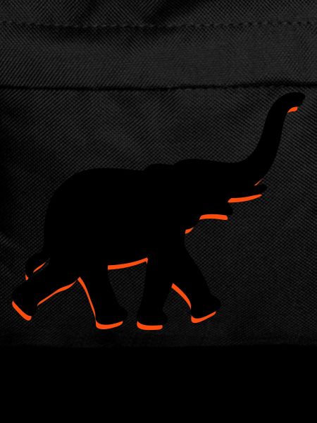 A big elephant with trunk