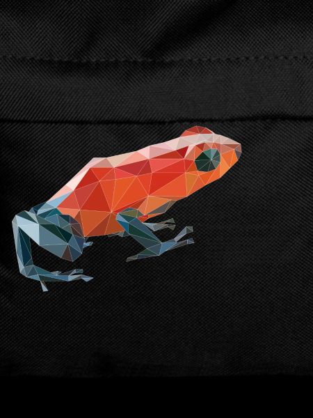 fig5_polygonpfeilgiftfrosch
