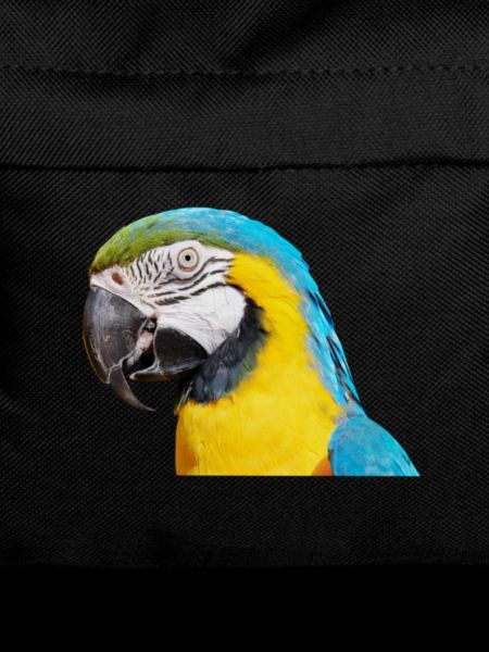 ARA Bird