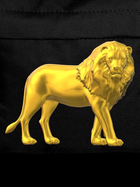 Loewe gold