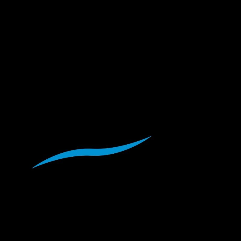 Sailing Logo Design