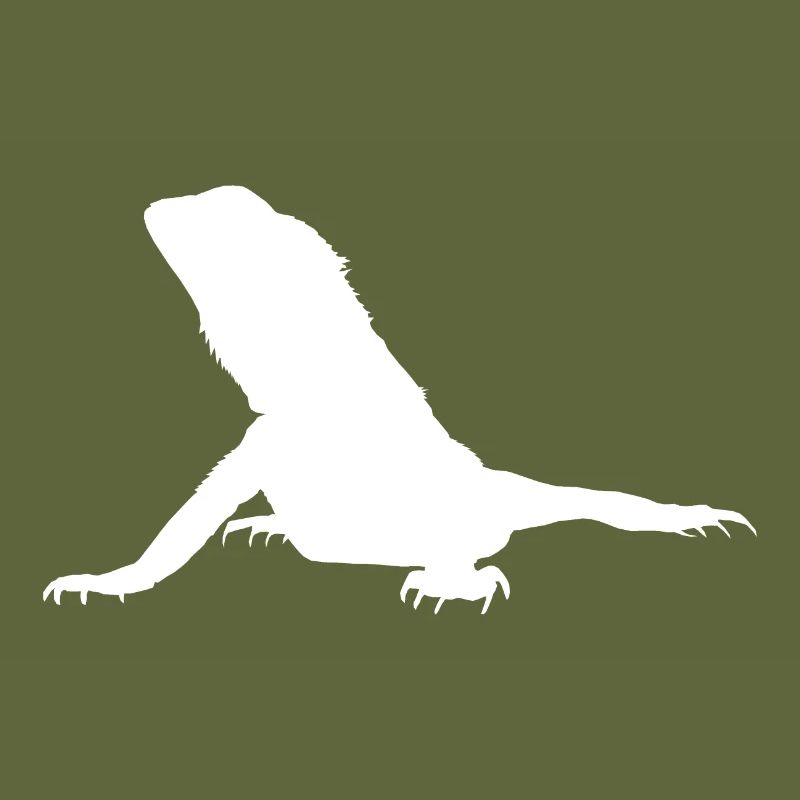 Bartagame Agame weiß Geschenkidee