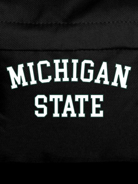 MSU Michigan State University