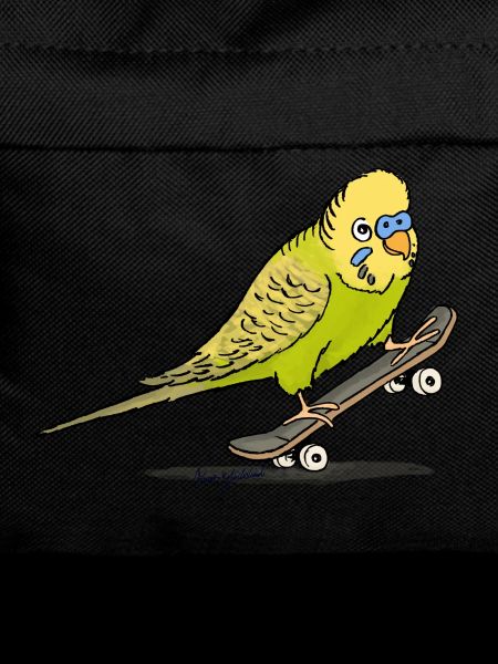 Budgie