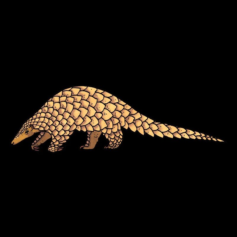 Pangolin 02