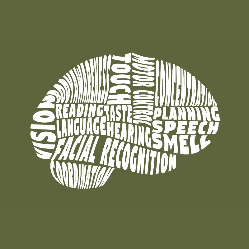 Brain areas functions