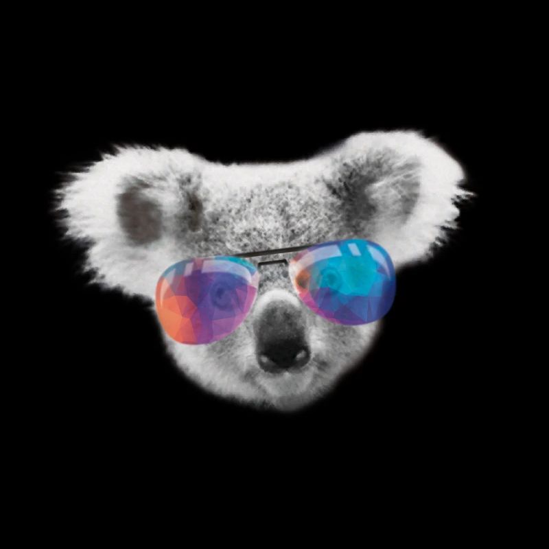 koala schwaz tête blanche