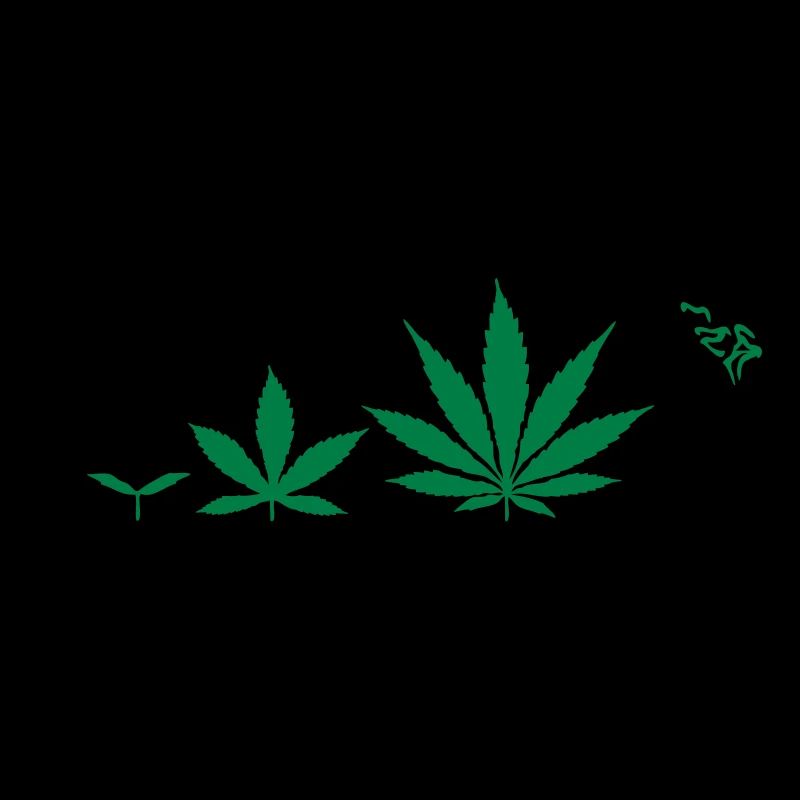 Cannabis development