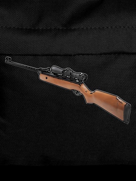 air rifle