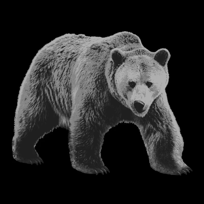 Gris Ours, Gris Ours Sauvage