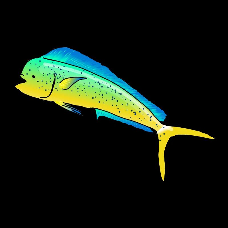 Mahi Mahi (Delphinfisch)
