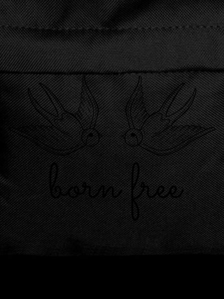 Swallows - born free
