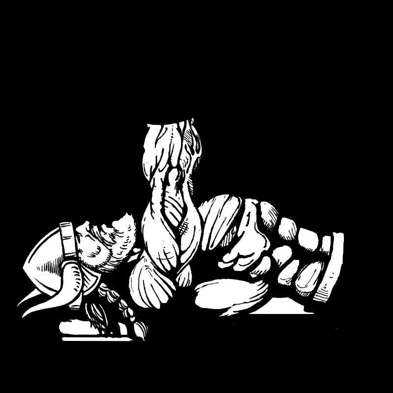 Vikings Viking Bodybuilder Training Gym