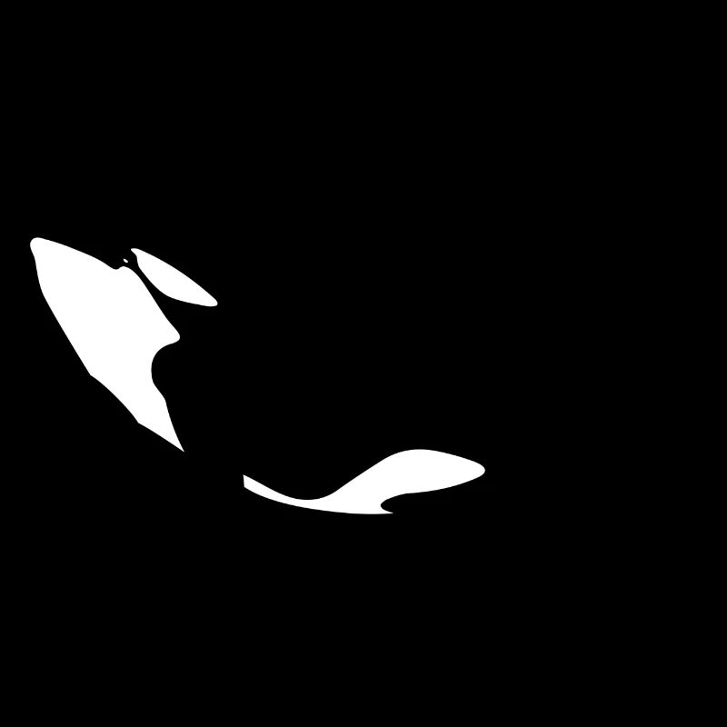 Orca