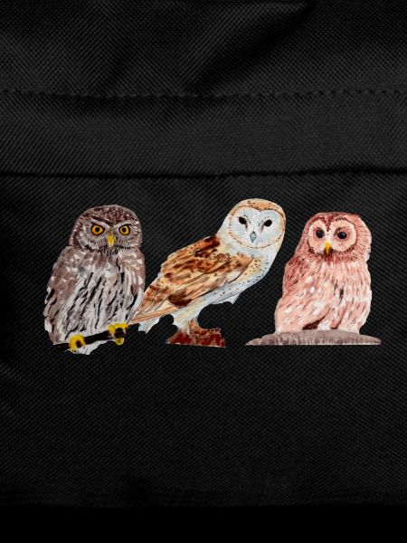 Trio of owls