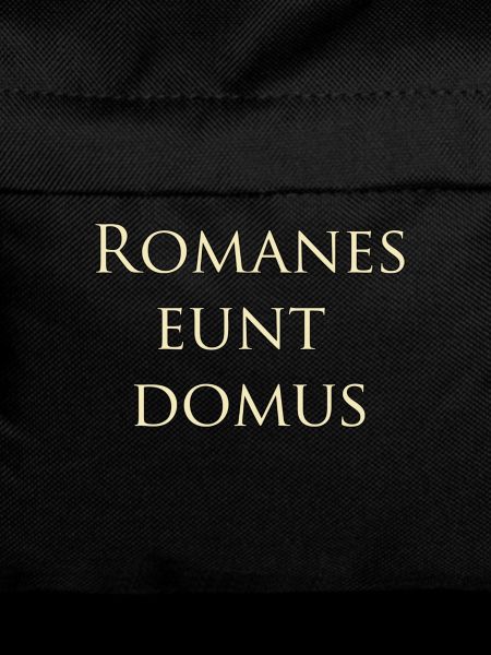 Romanes eunt domus