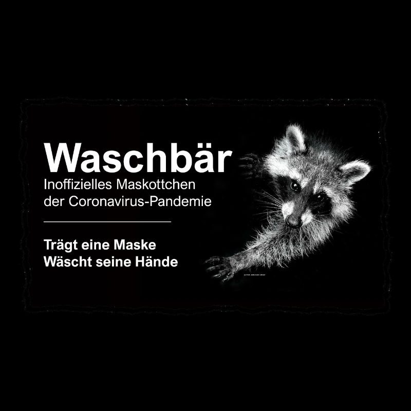 Maskottchen - Waschbär