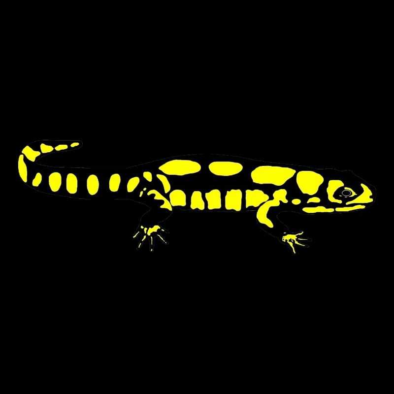 Salamander