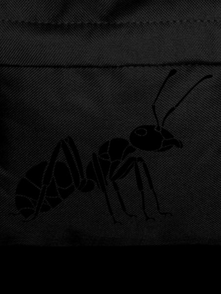Ant