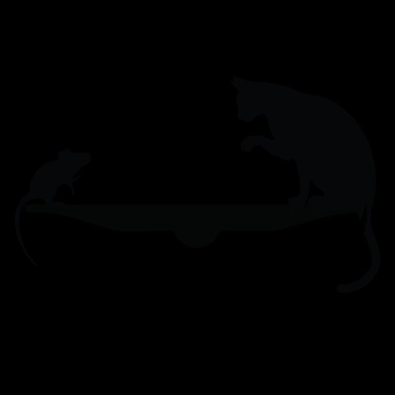 Play cat and mouse