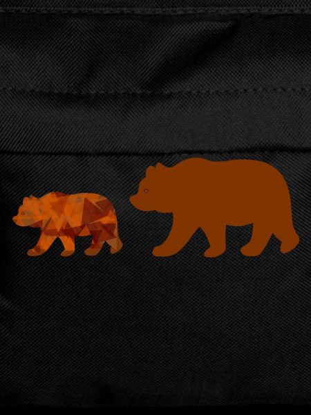 Bear walking
