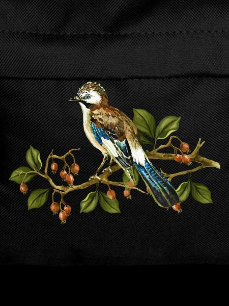 Jay bird
